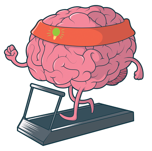 cerveau cerveau